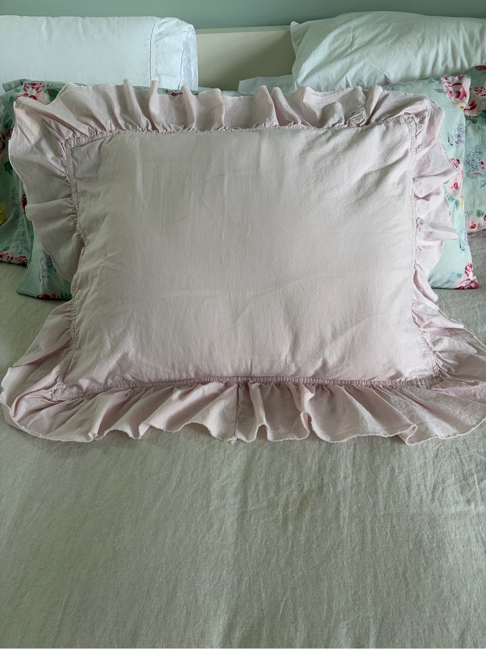 Pottery Barn Teen  Cotton Ruffle Organic Sham in Powdered Blush